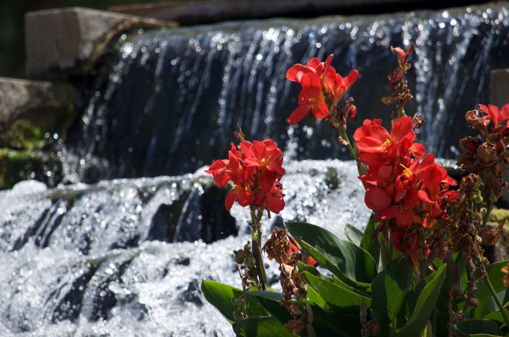 Programming Guide – August&nbsp;12