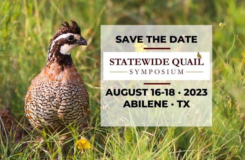 On the Dock – August&nbsp;11