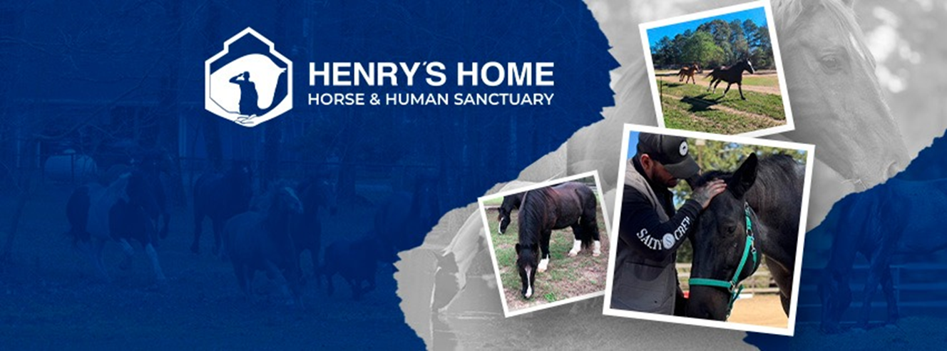 Building a Haven for Heroes and Horses