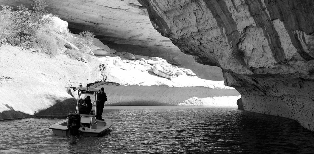 Texas Game Wardens Crack Down on Illegal Deer&nbsp;Smuggling