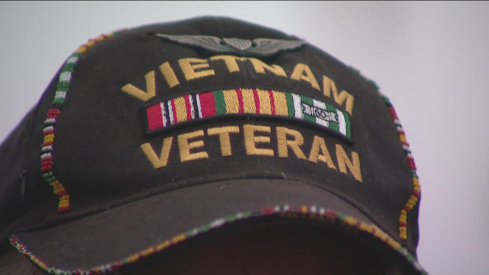 Vietnam Veterans Day