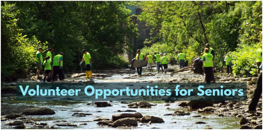 Local Spotlight – Retired and Senior Volunteer&nbsp;Program