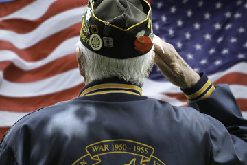 Beyond the Uniform: Empowering Veterans Over 55 in Texas