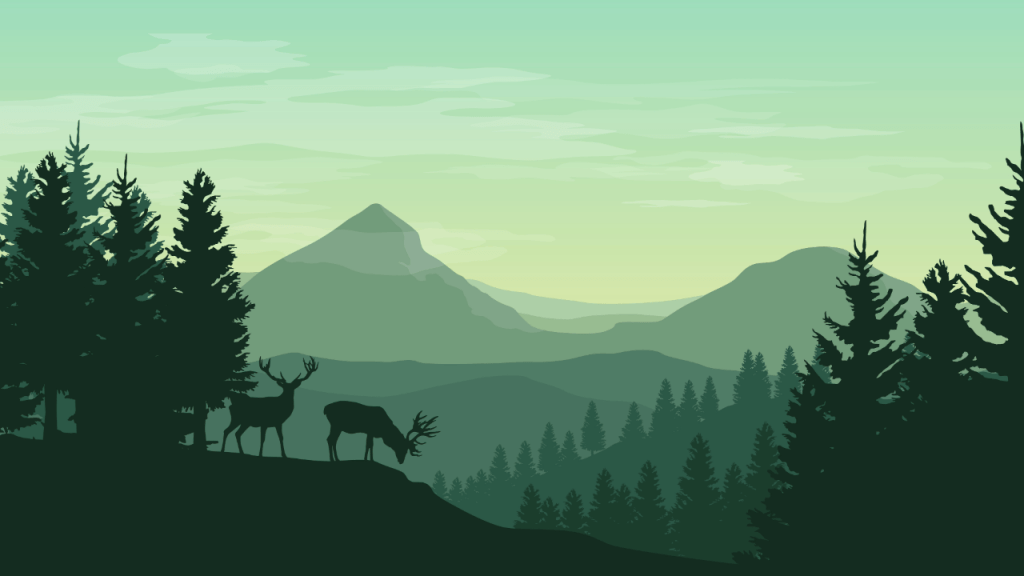 Texans Get New Tools to Report Violations and a Chance to Clean Up Belton&nbsp;Lake