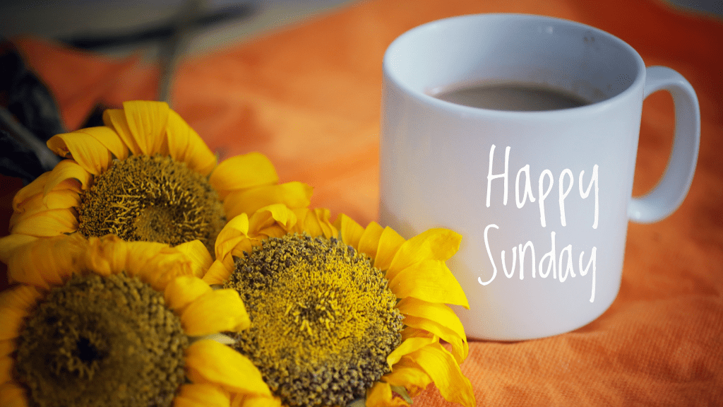 Cooler Air Settles In as Fire Weather Risks Rise Early&nbsp;Week