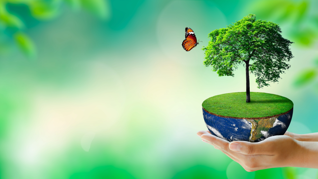 Killeen Parks & Recreation Hosts Texas Arbor Day Tree Planting&nbsp;Event