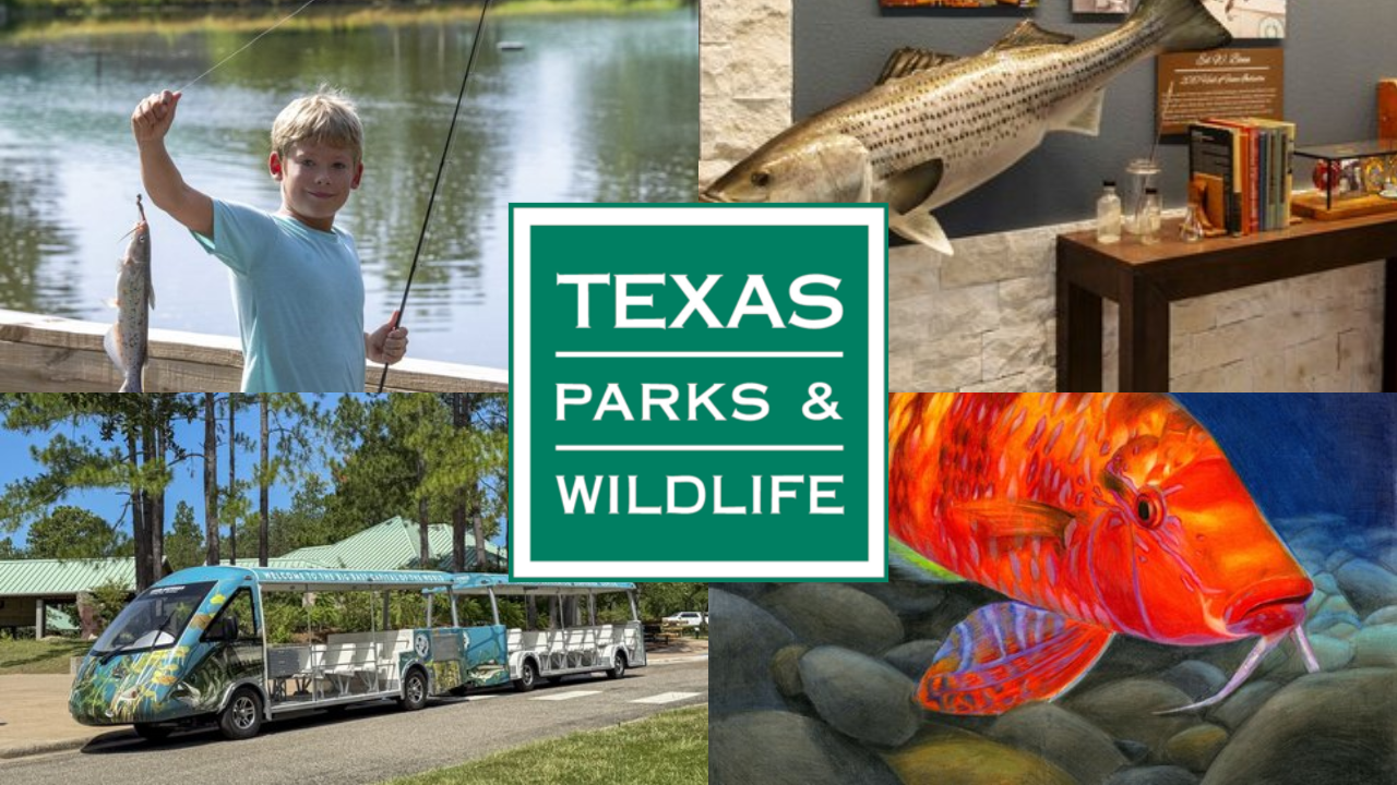Texas Freshwater Fisheries Center to Reopen October 8 Following Emergency Repairs