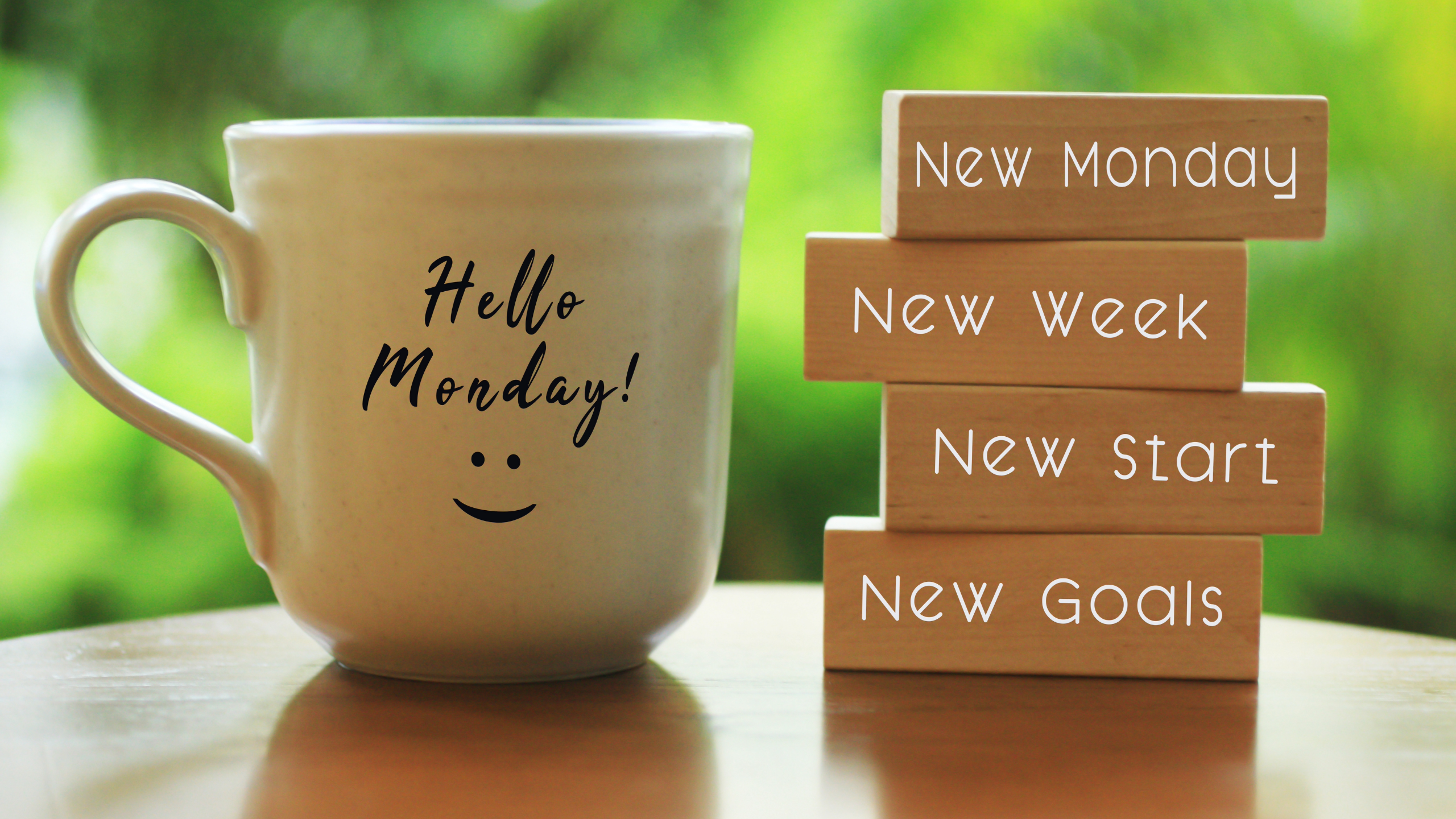 Monday, November 24th
