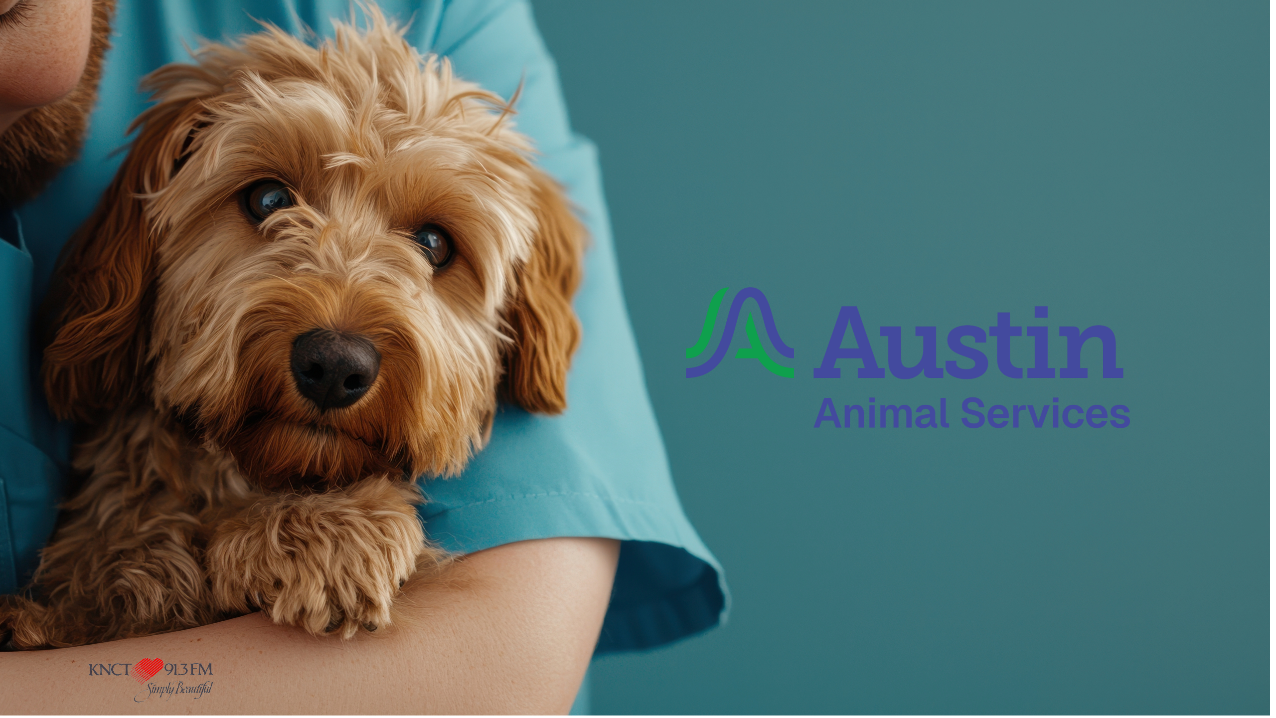 Austin Animal Services Offers Free Spay/Neuter Clinic to Help Keep Pets Healthy