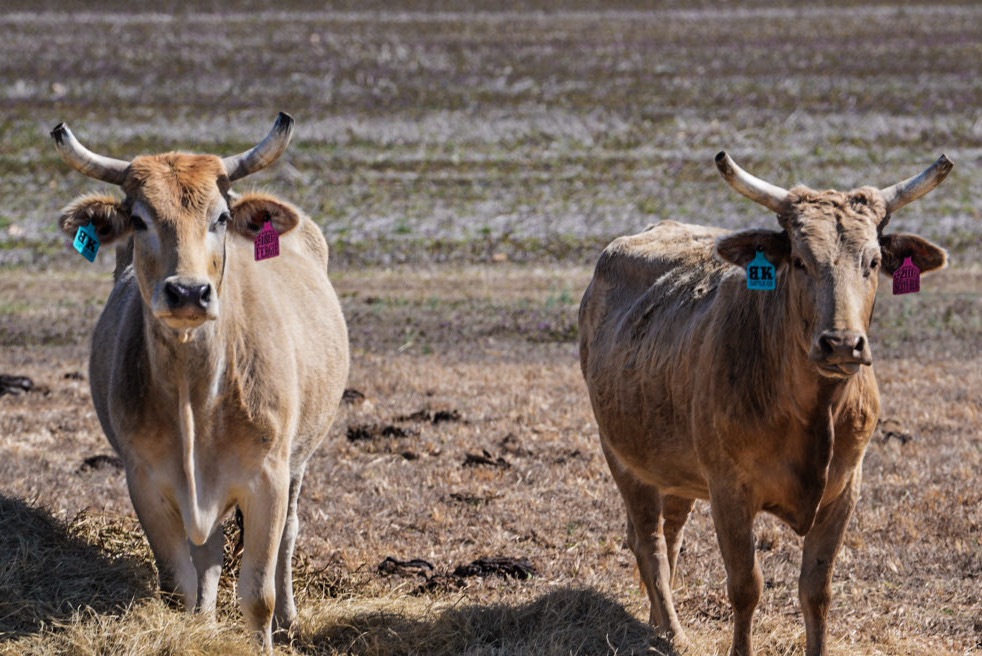 Warm, Dry, and Fire‑Prone Conditions Persist Across the Region