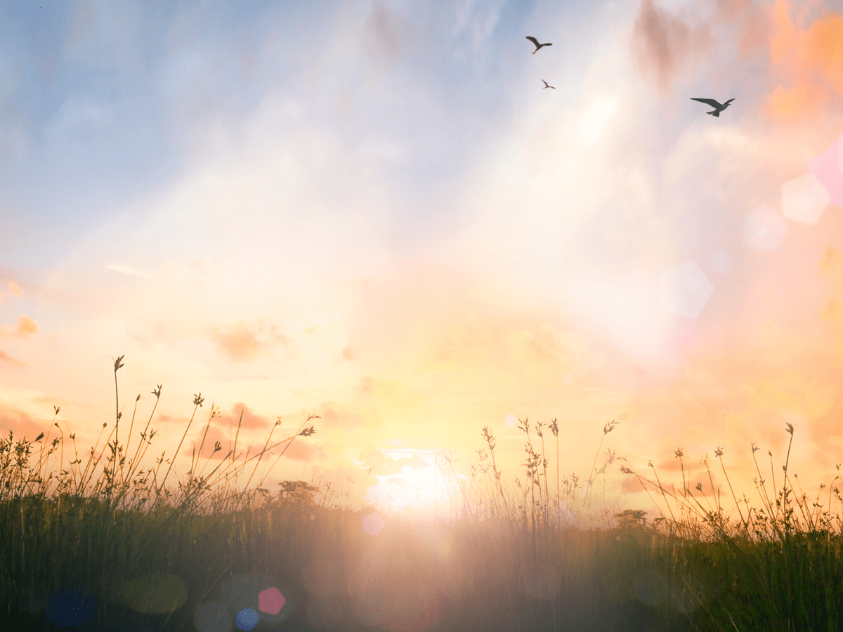 Sunny Skies and Springlike Temperatures Lead the&nbsp;Weekend