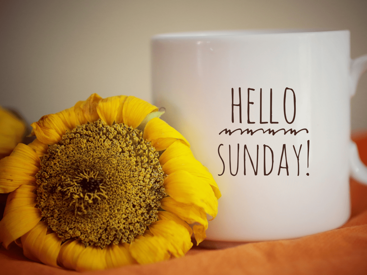 Mild Days, Warm Nights: Above‑Normal Temperatures Continue Across the&nbsp;Region