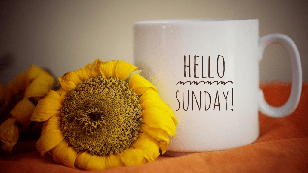 Mild Days, Warm Nights: Above‑Normal Temperatures Continue Across the&nbsp;Region