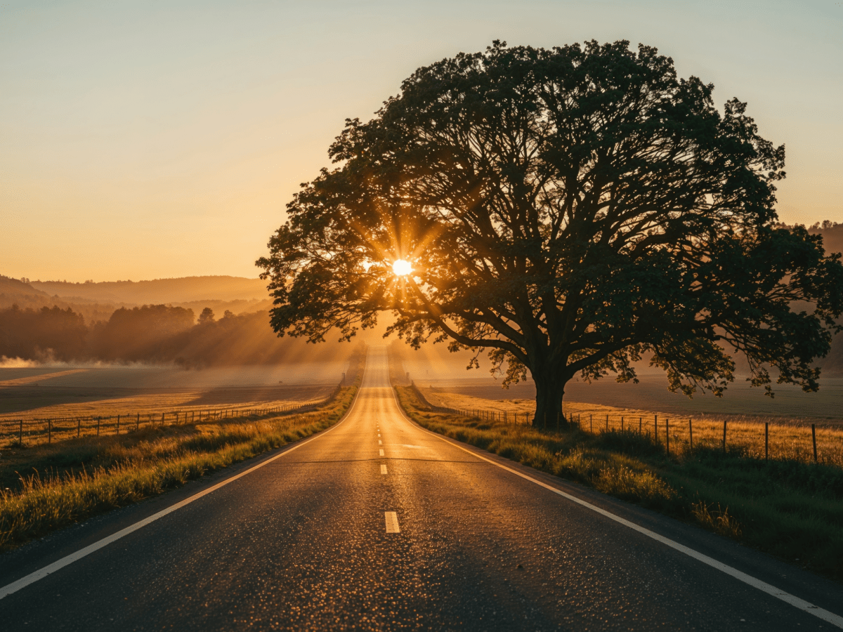 Sunshine Dominates as Temperatures Trend&nbsp;Upward