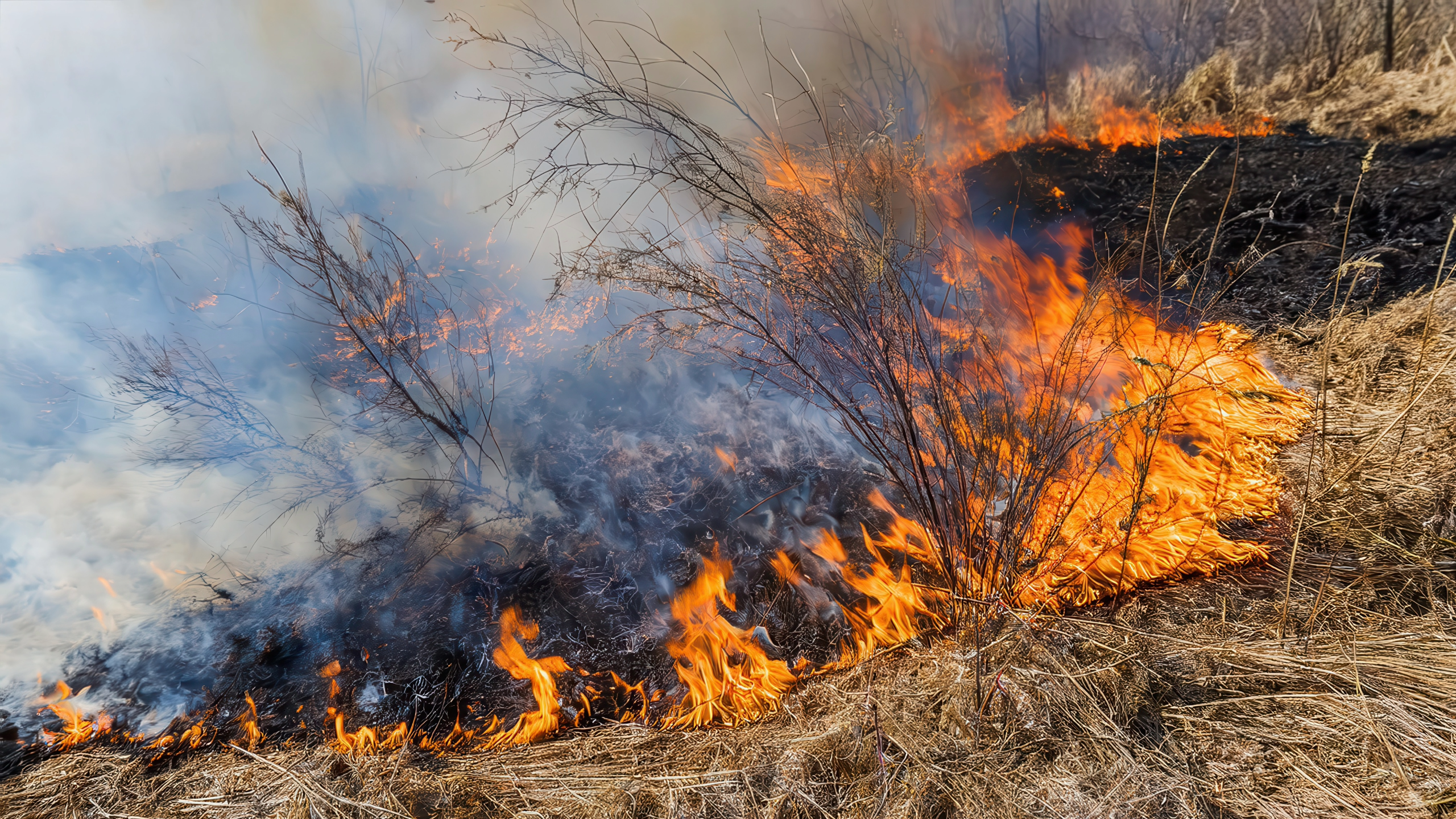 Fire Weather Concerns Rise as Strong Front Approaches Sunday