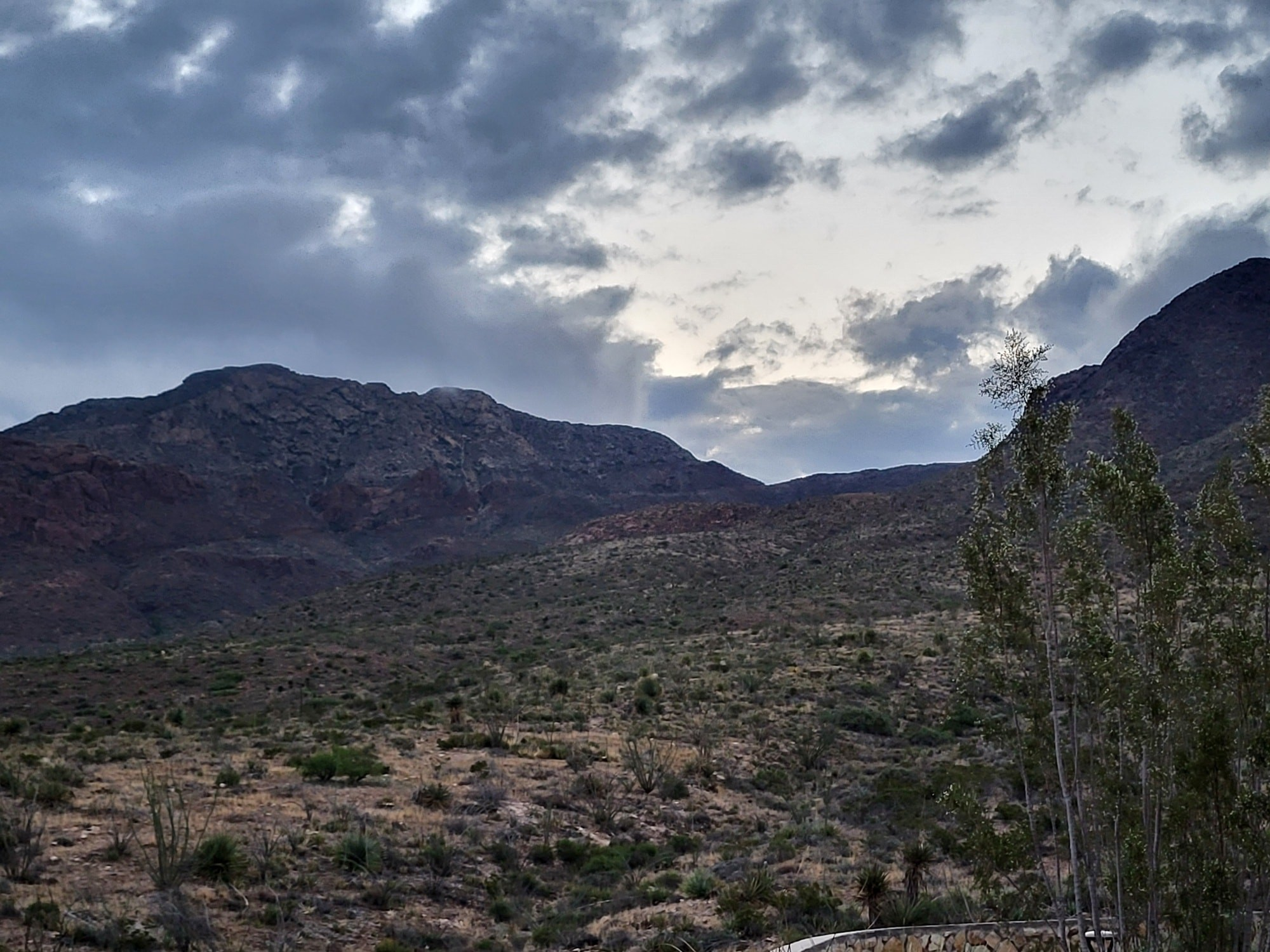 Franklin Mountains State Park Expands Its Footprint, Protecting Habitat and Opening New Doors for Adventure