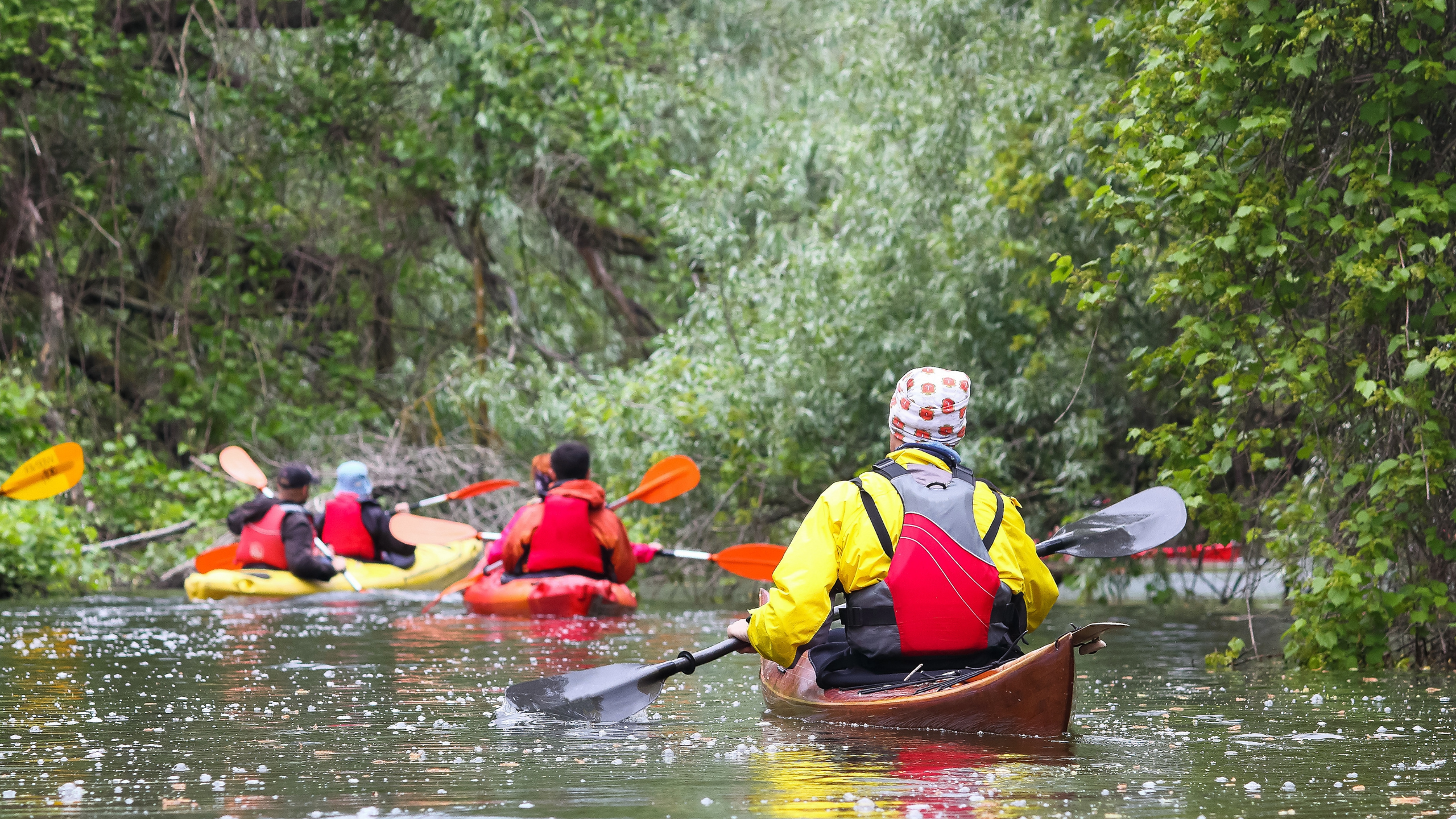 New Paddling Trails on Yesterday’s On the Dock with Rick Smith