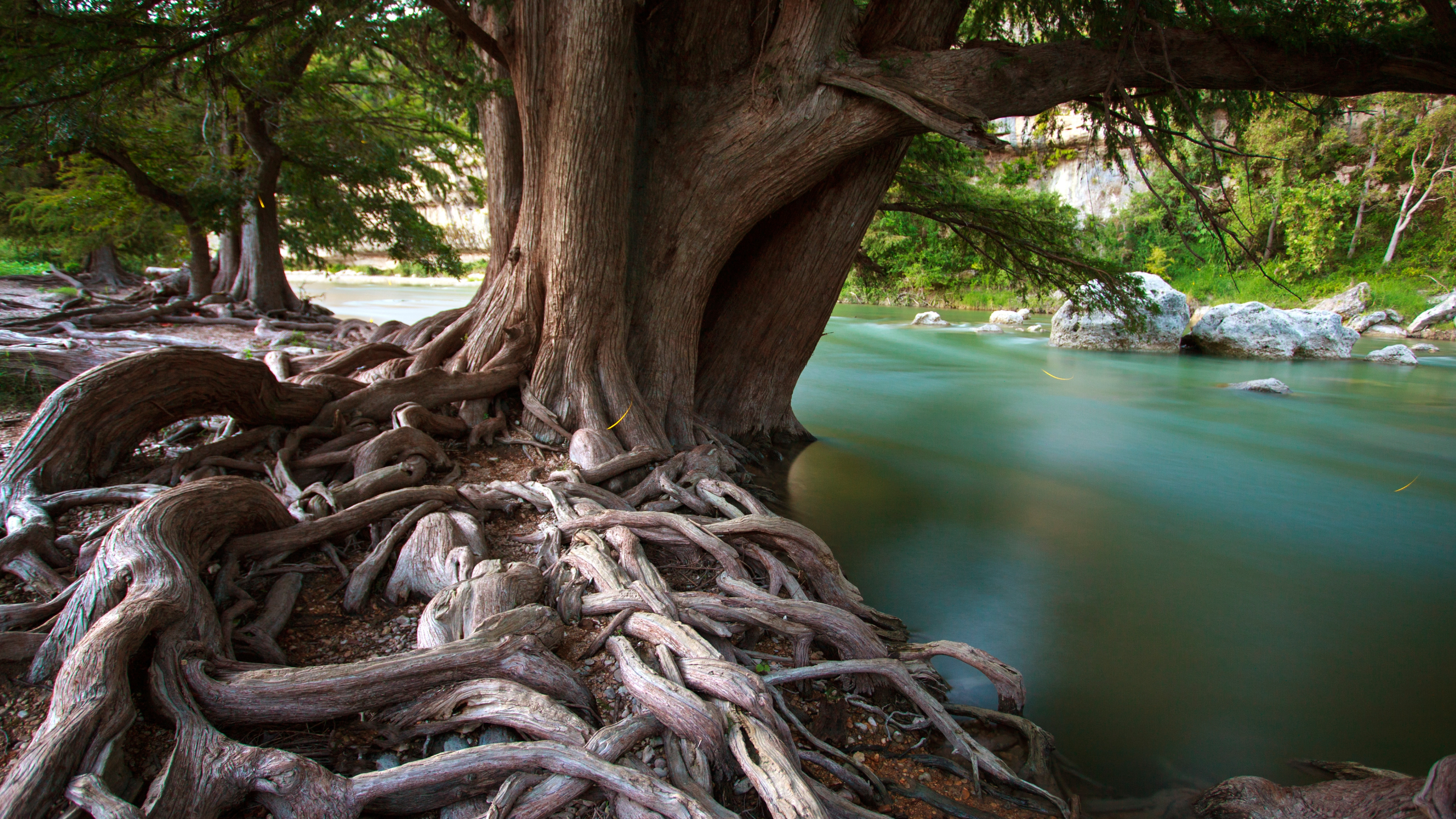 Join Texas State Parks to Celebrate America’s 250th Birthday