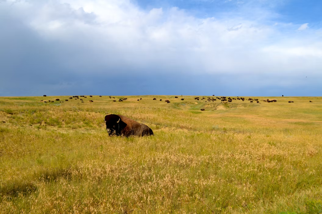“Adventure Awaits” Sweepstakes Opens the Door to a Dream National Park Journey