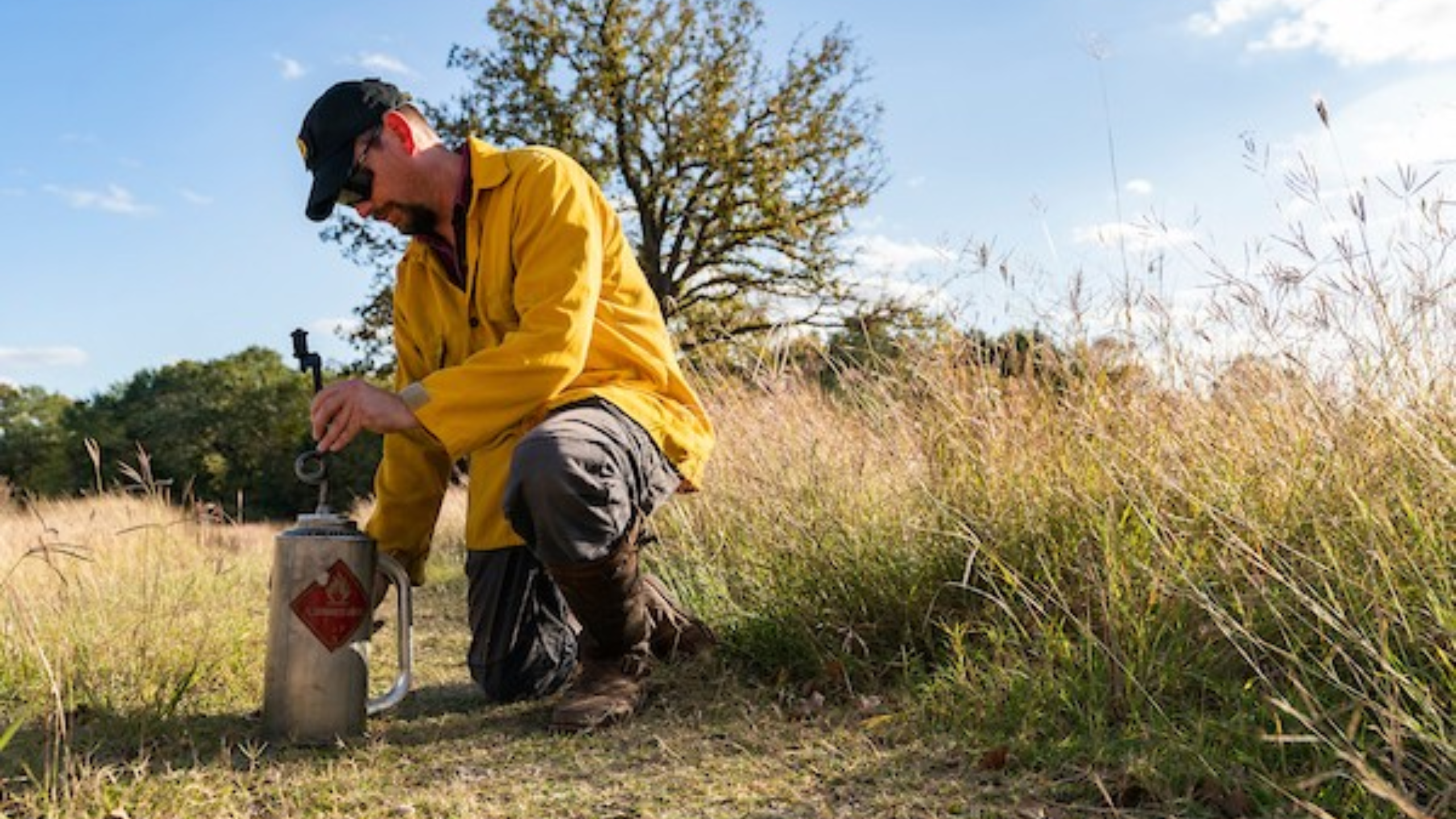Learning to Work With Fire, Not Against It