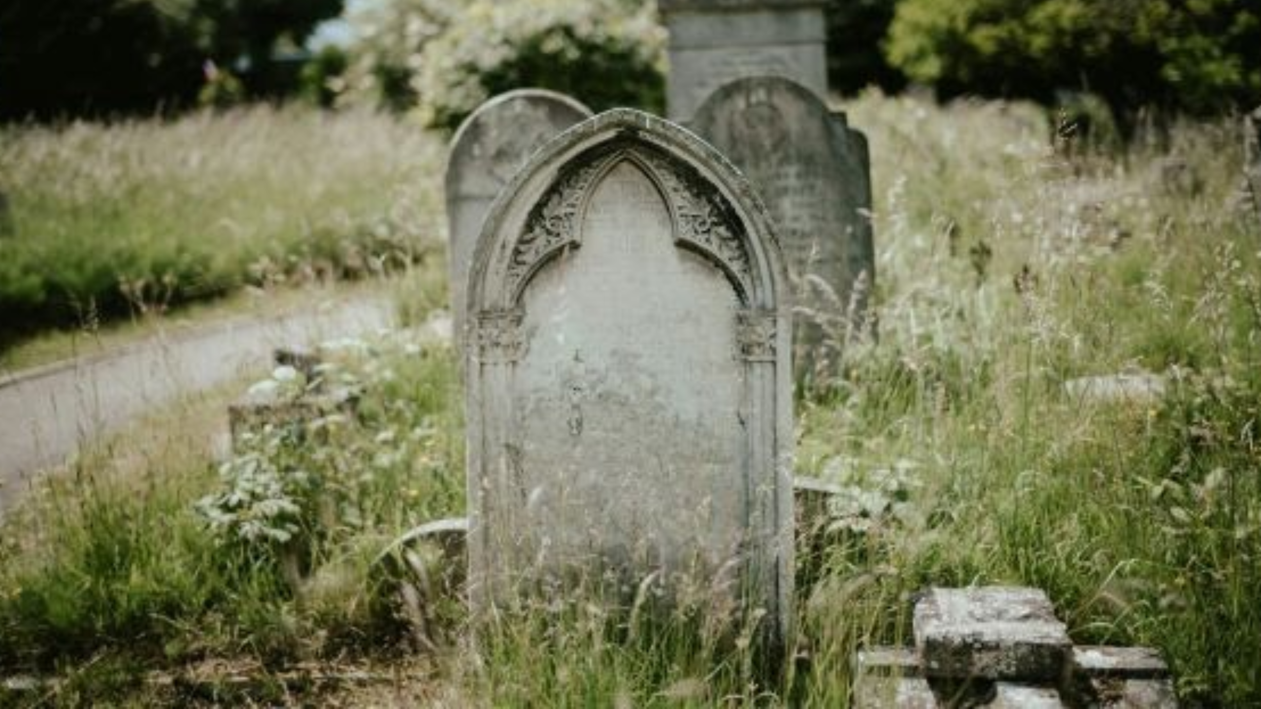 Texas Museums Spotlight Cemetery Tours in August Showcase Webinar