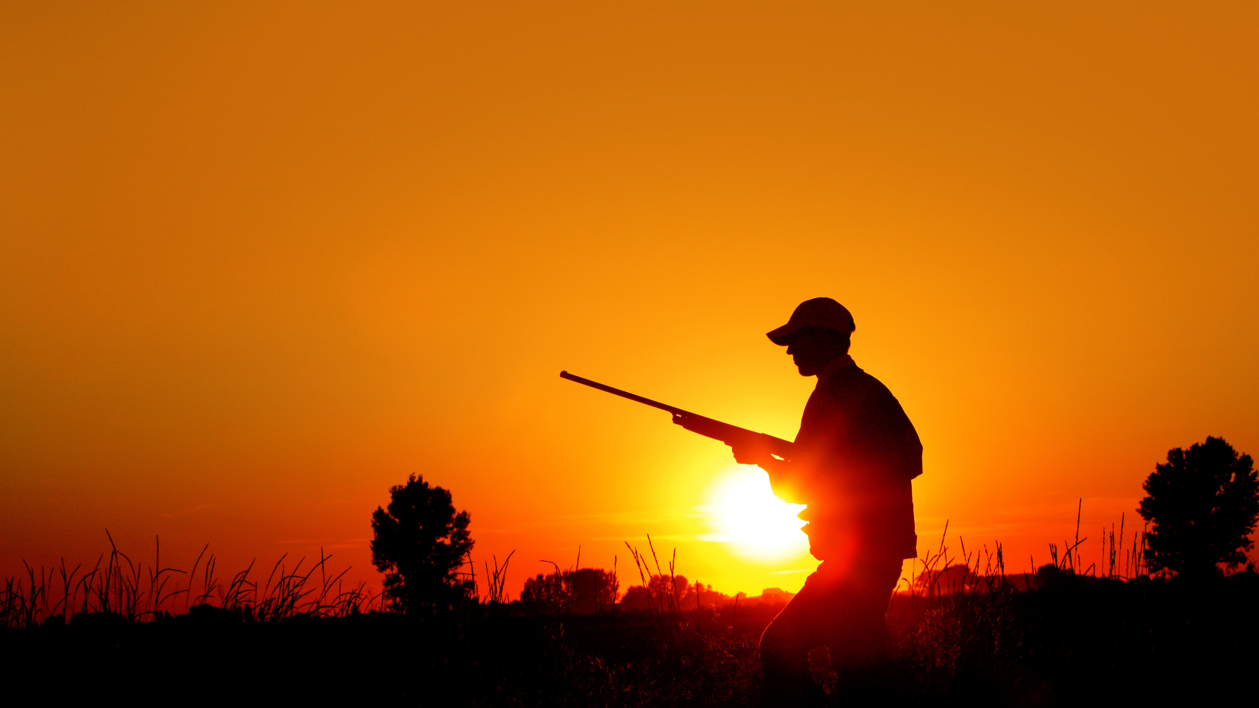 Record Dove Numbers Set the Stage for a Historic Texas Season Opener