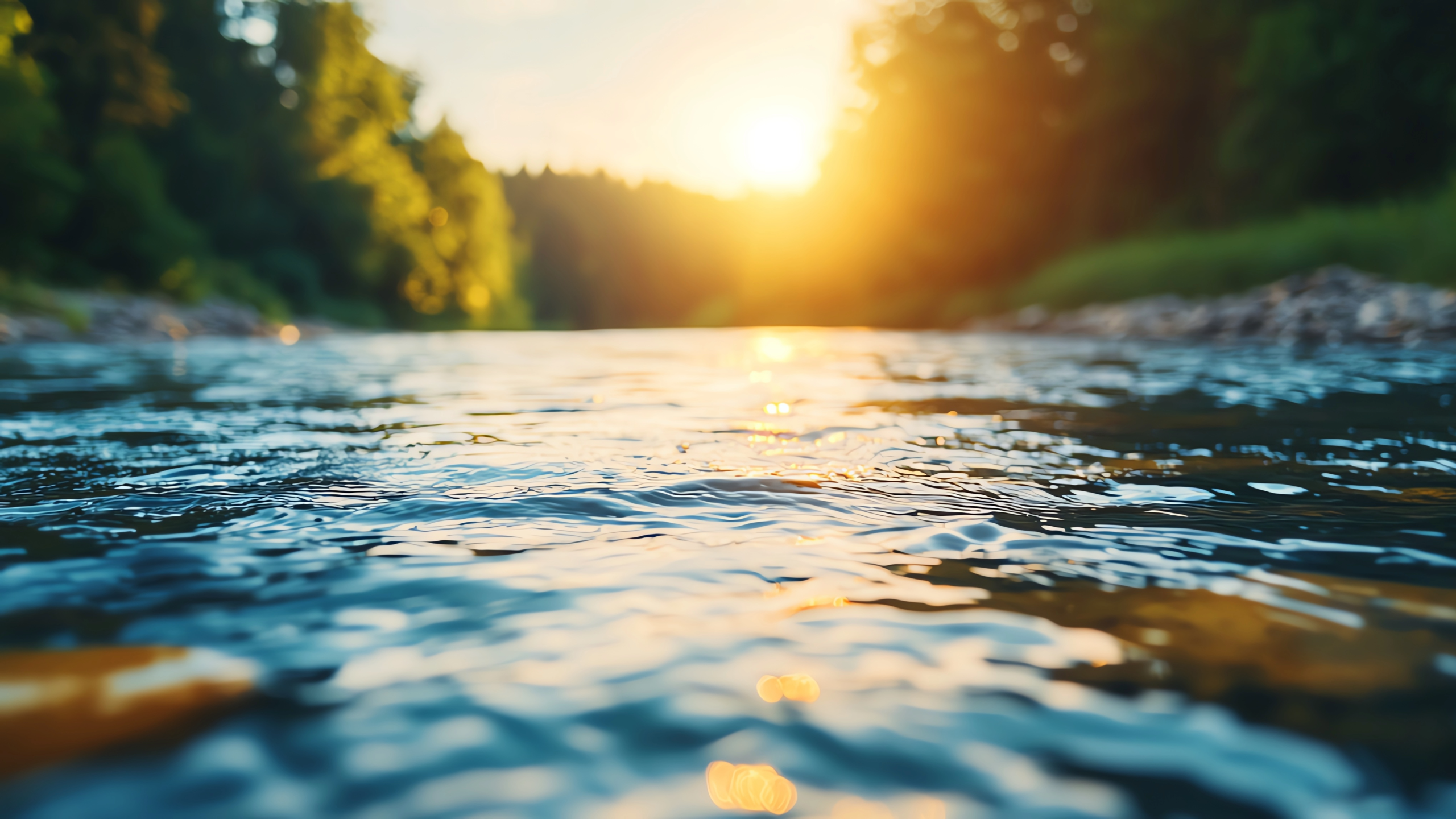Austin Marks National Water Quality Month with Year‑Round Commitment to Clean, Healthy Waterways