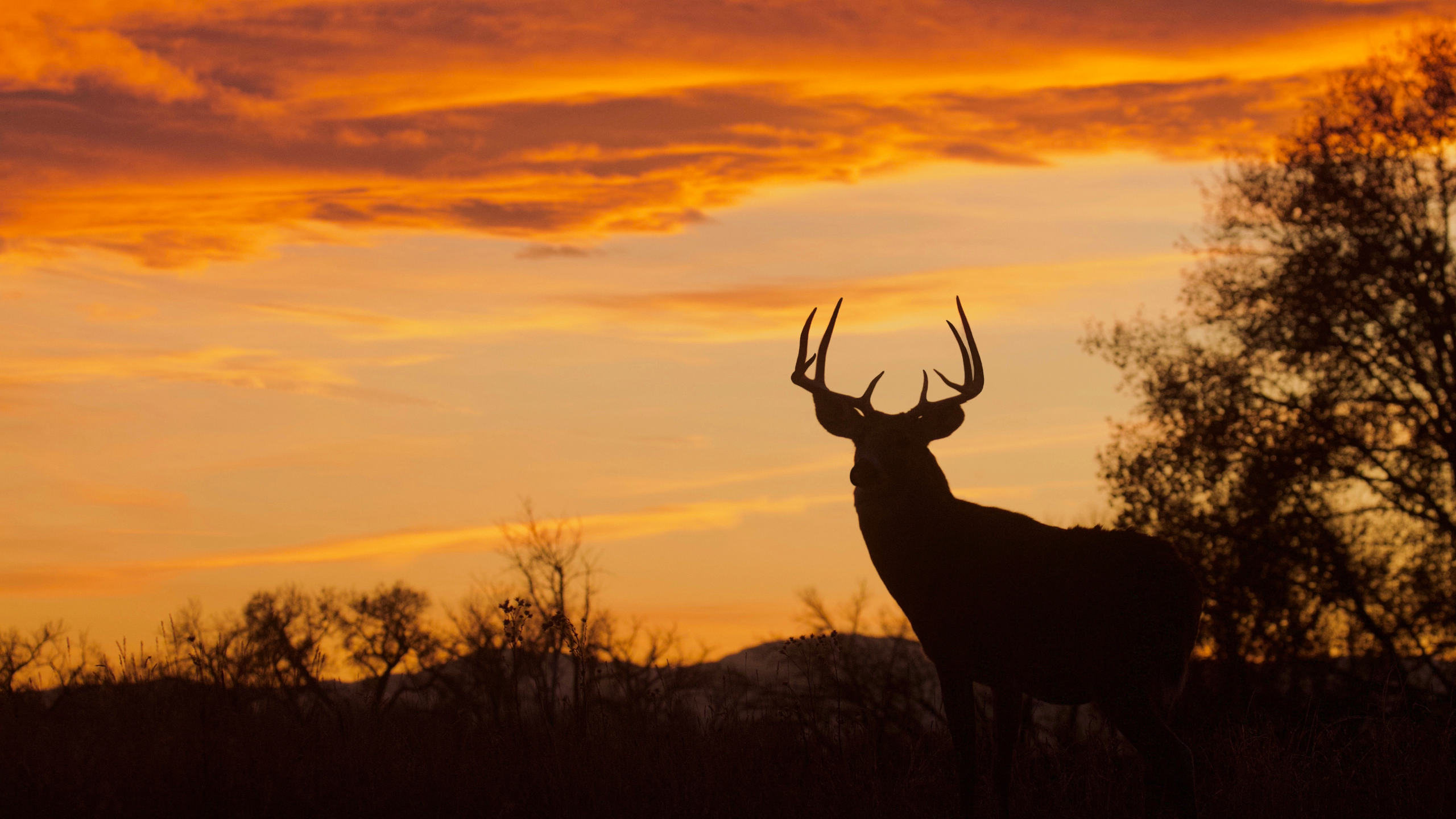 On the Dock with Rick Smith: Celebrating 30 Years of Big Time Texas Hunts
