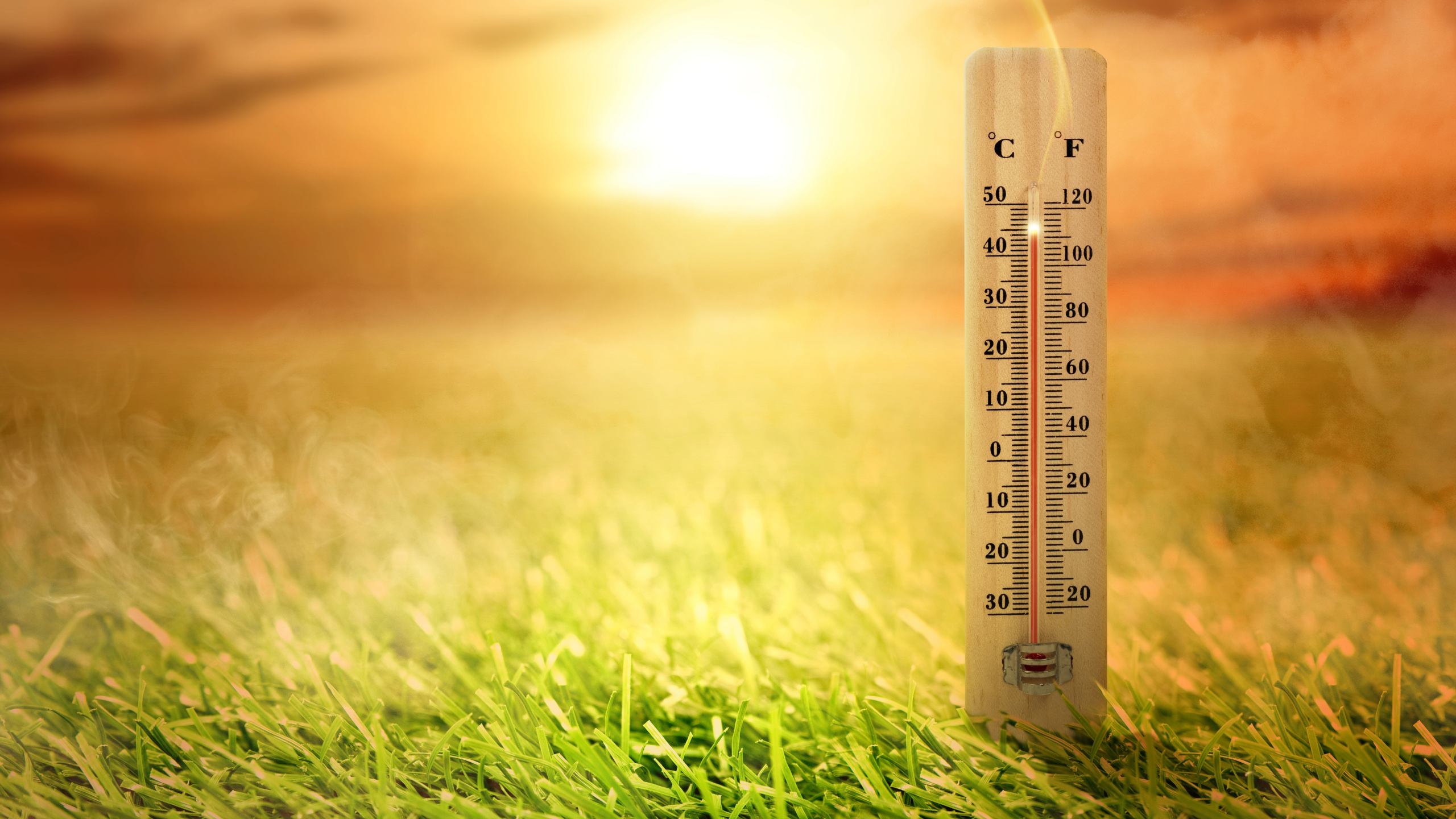 Heat, Fire Danger, and a Nation Split by Weather