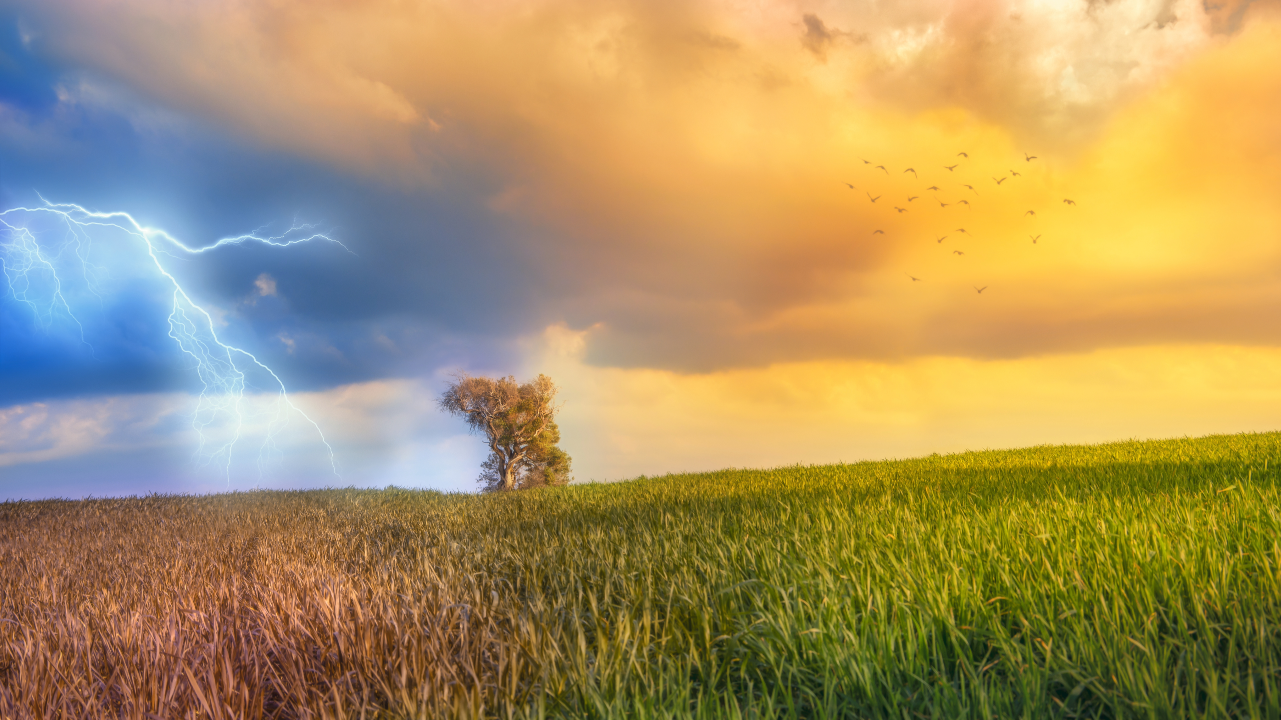 Texas Heat Advisory & August Outlook