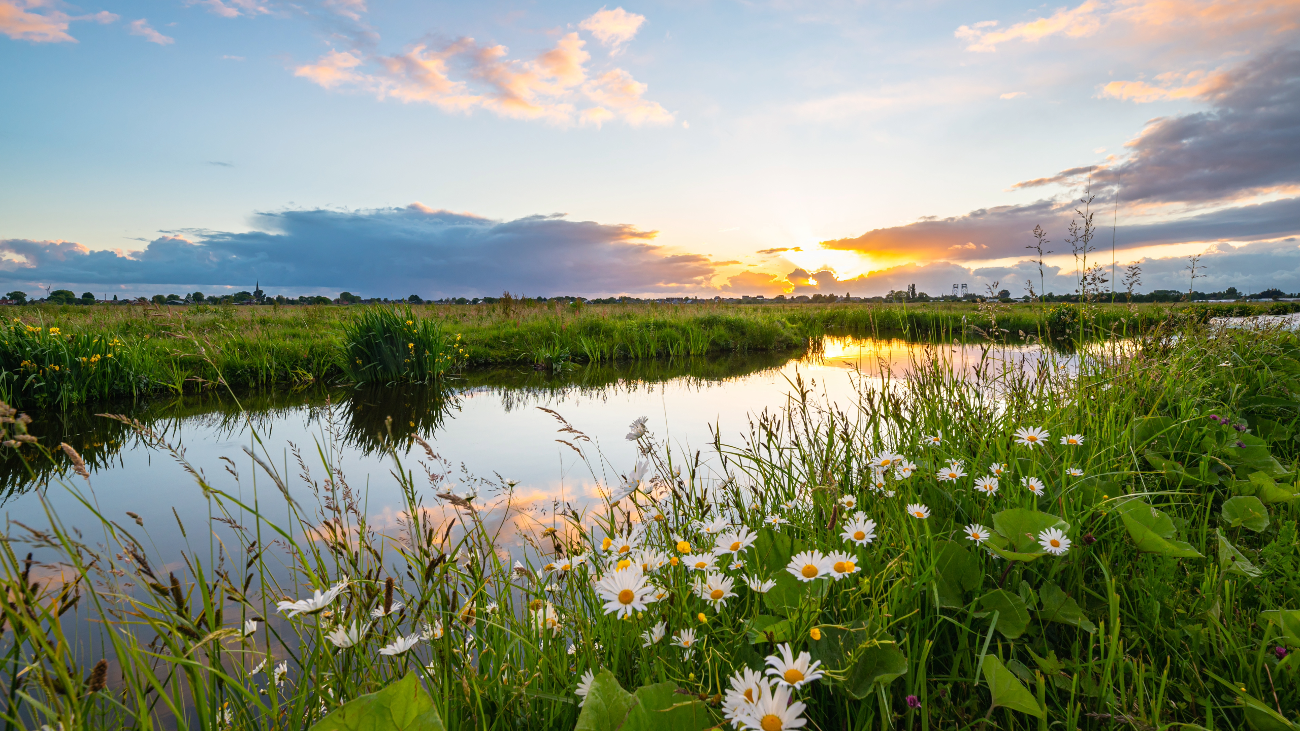 Weather Spotlight: Mostly Sunny and Hot