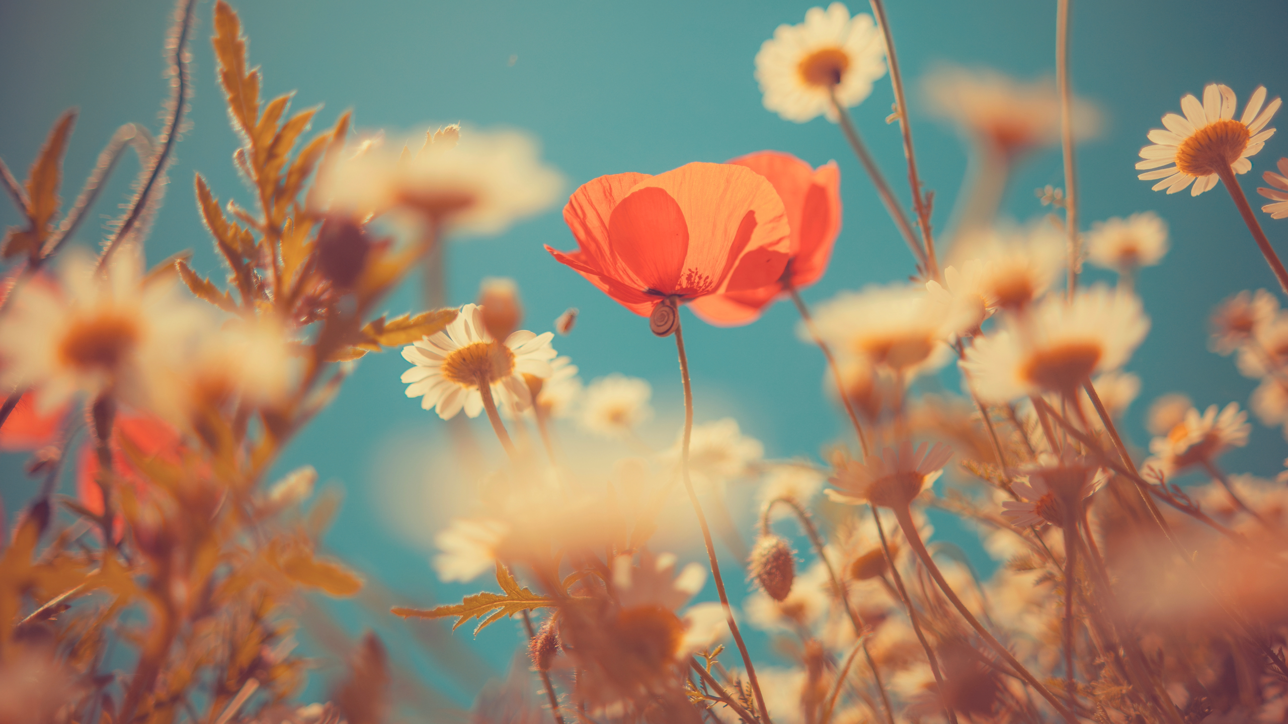 Playlist for 22 August 2026