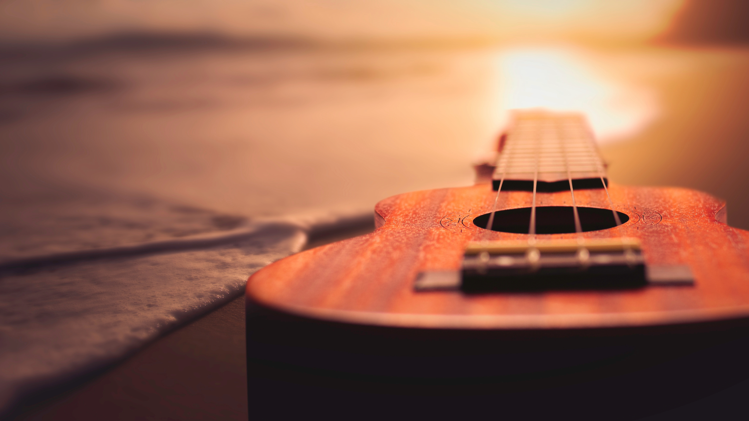 Playlist Spotlight: 13 September 2026