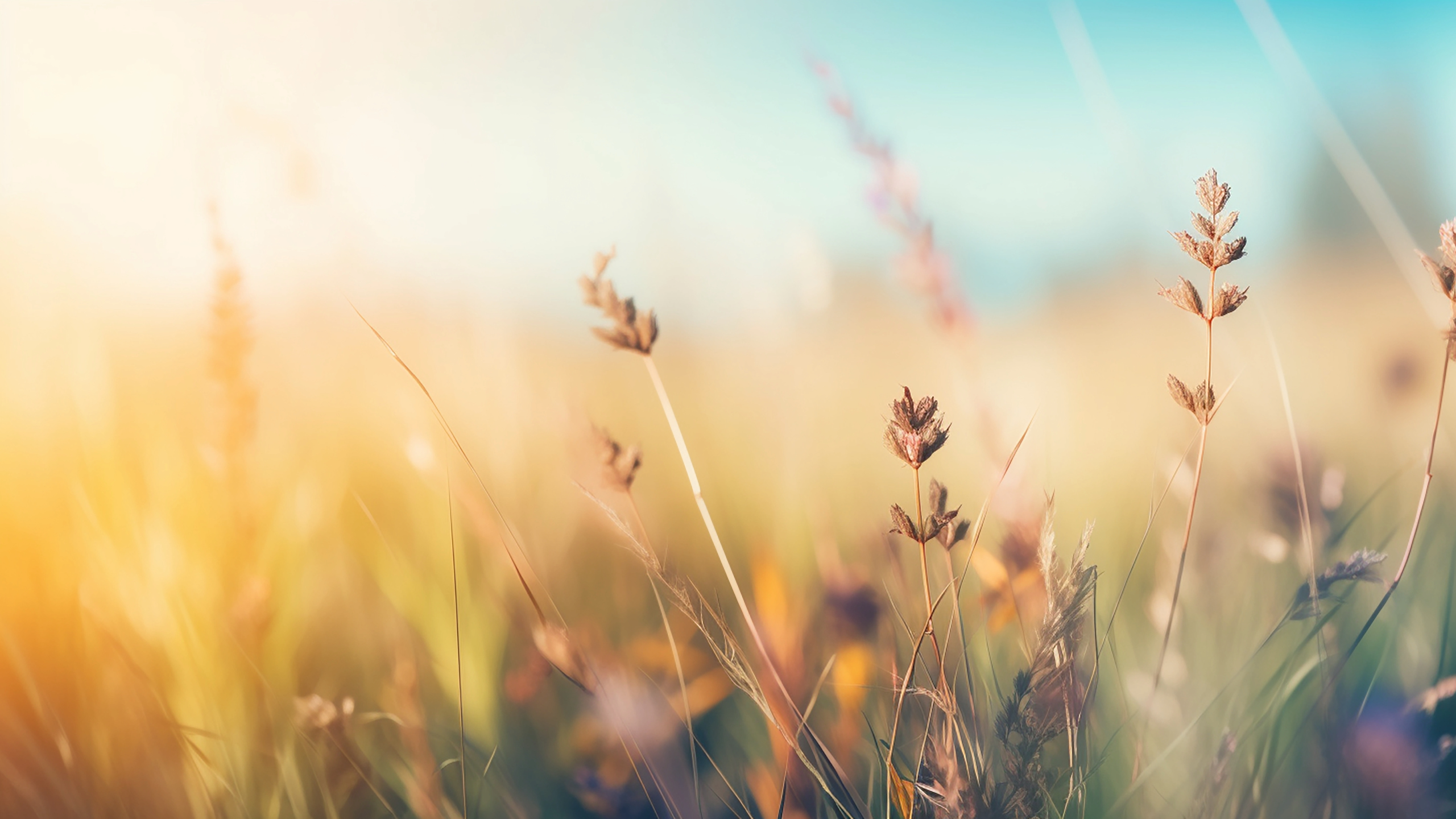 Weather Spotlight: A Warm, Quiet Week Settles Over Central Texas