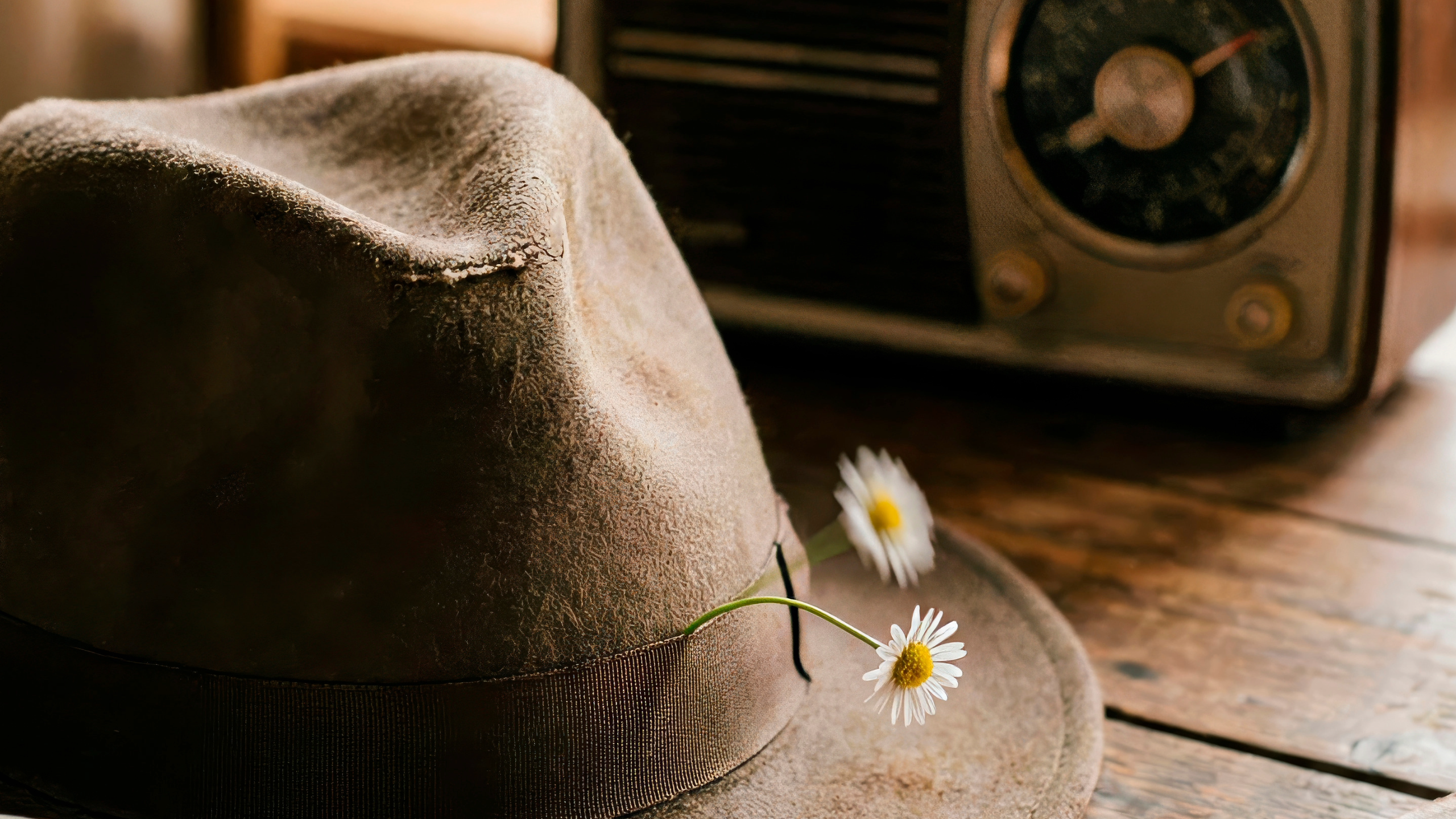 Playlist for 24 October 2026